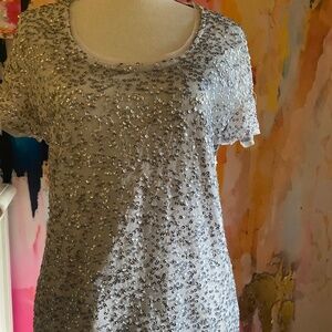 Silver Sequened Top